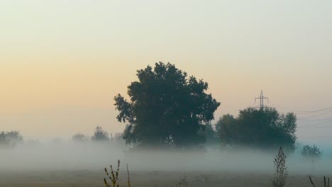 Toma-De-Niebla-Matutina-Sobre-Campo-Abierto-Al-Amanecer