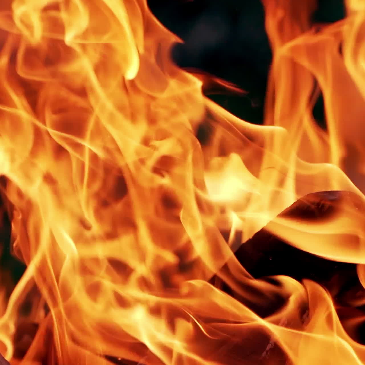 Campfire In The Night. Beautiful fire burns brightly. Embers of the fire climb up. Red flames surging up.