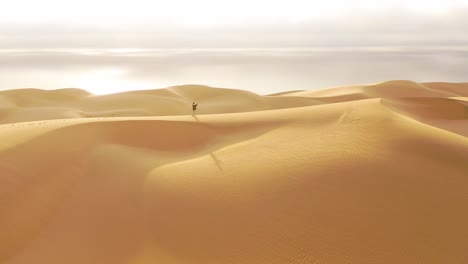 Antena-Sobre-Un-Modelo-De-Mujer-Femenina-De-Pie-Sobre-Las-Hermosas-Dunas-De-Arena-Del-Desierto-De-Namib-En-Namibia-Con-El-Fondo-De-La-Costa-De-Los-Esqueletos-2