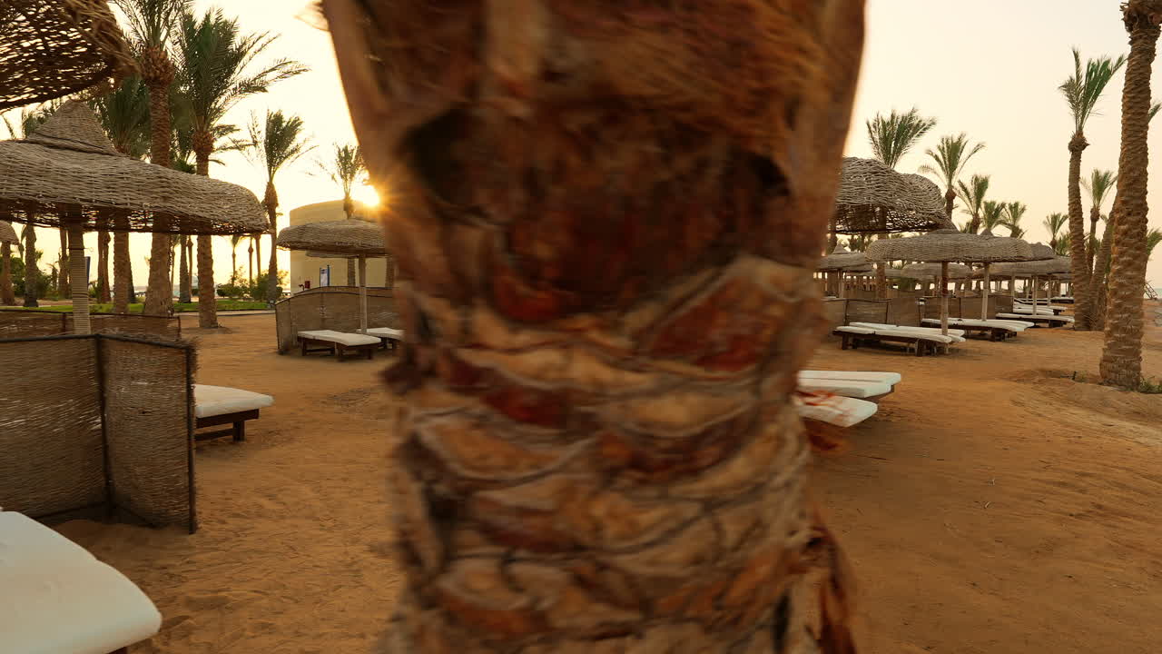 Zona di spiaggia sabbiosa di un hotel resort all'alba in Egitto, vista mattutina di una spiaggia deserta e calma con ombrelloni e sedie a sdraio sotto le palme.