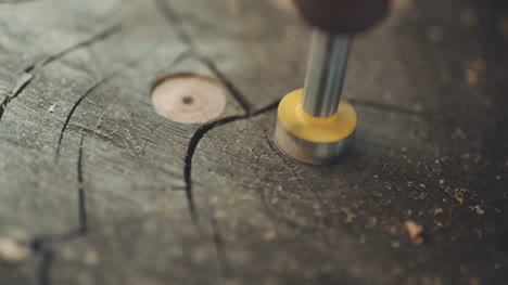 Wood Industry Diy Man Drilling In Wood 