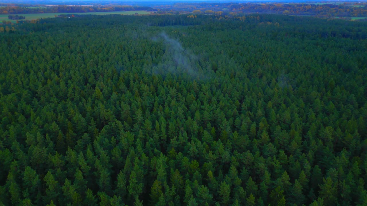 epico paisaje aéreo remoto de lituania temprano en la mañana con niebla y niebla