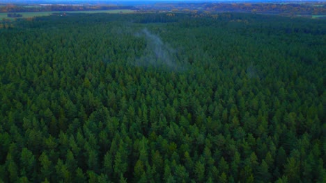 epic lithuanian remote aerial landscape early morning with mist and fog