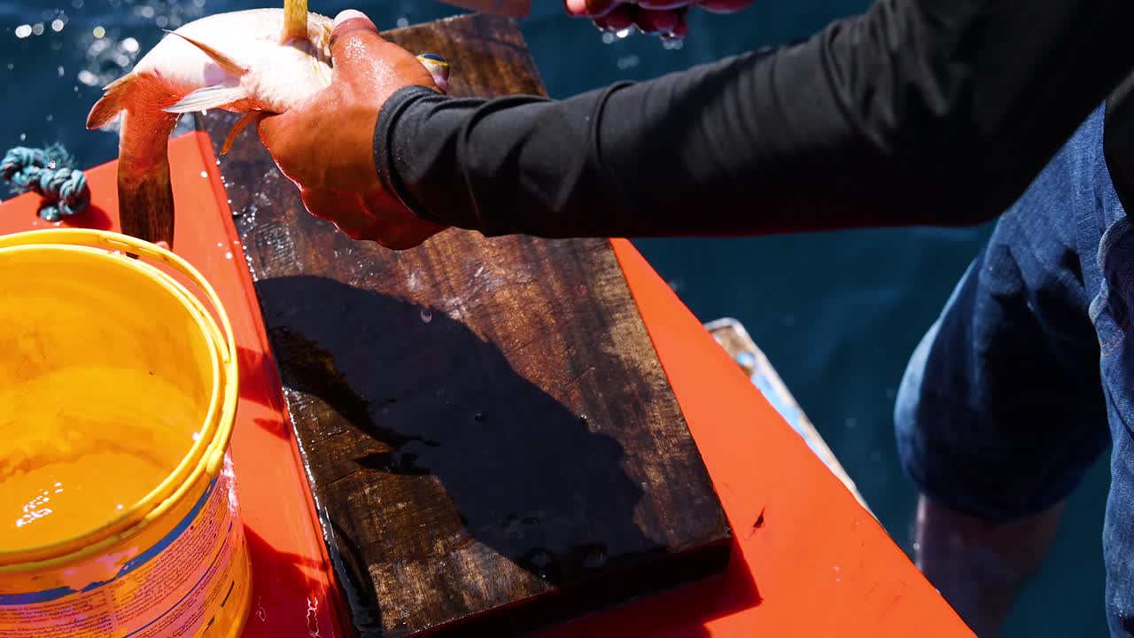 A person skillfully scales and cleans a fish on a boat under bright sunlight in Phuket, Thailand