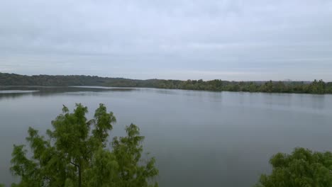 Levantarse-Sobre-Un-árbol-En-El-Parque-Del-Lago-Creve-Coeur-En-Missouri,-Drone-Aéreo