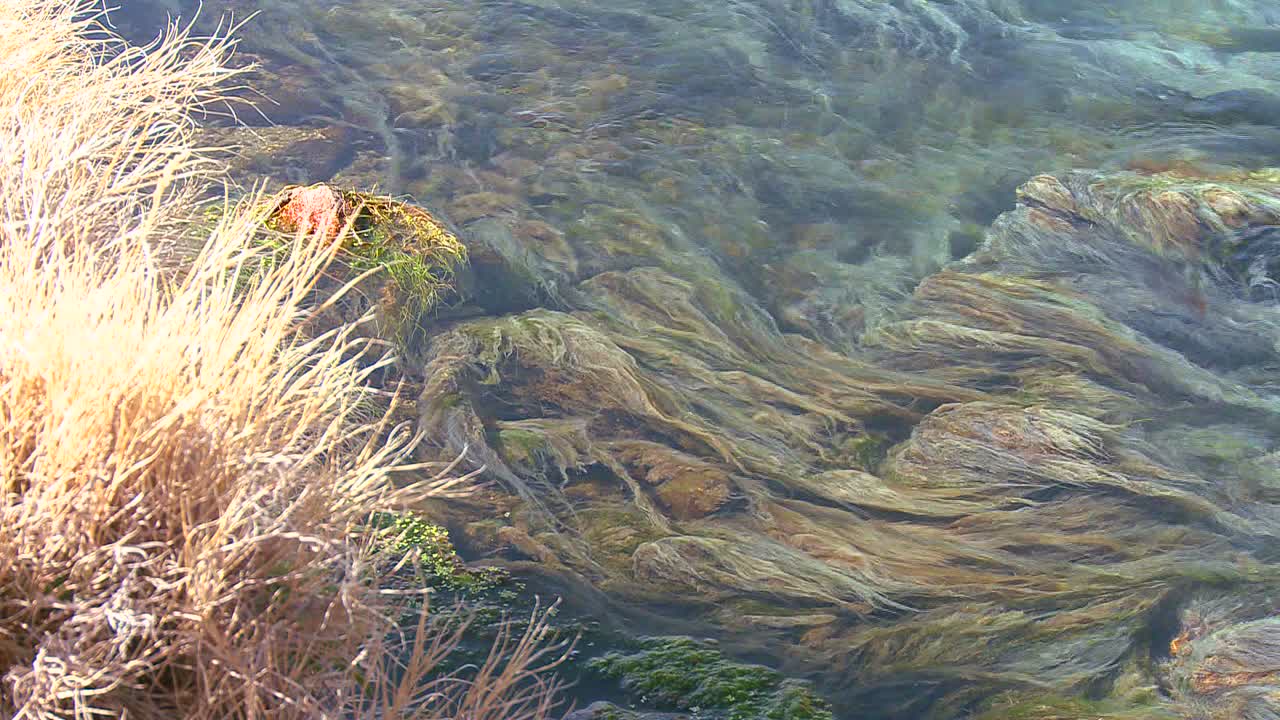 푸른 물이 아름다운 추상 패턴 2로 계류에 흐릅니다.