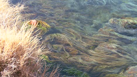 Blaues-Wasser-Fließt-In-Einem-Gebirgsbach-In-Einem-Schönen-Abstrakten-Muster-2