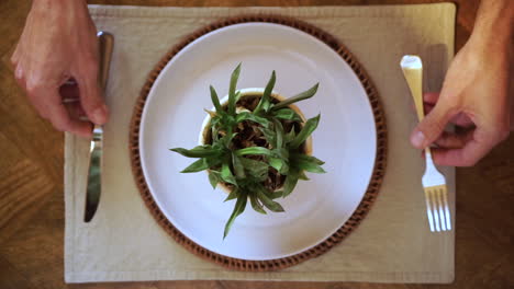 Plant-in-flower-pot-on-dinner-plate,-person-picks-up-cutlery,-close-up-top-view