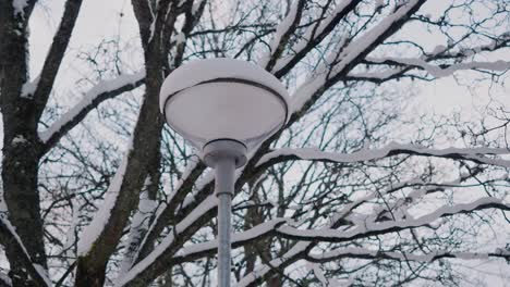 snowy lamp pole and tree branches in a winter afternoon, borås sweden - handheld medium shot