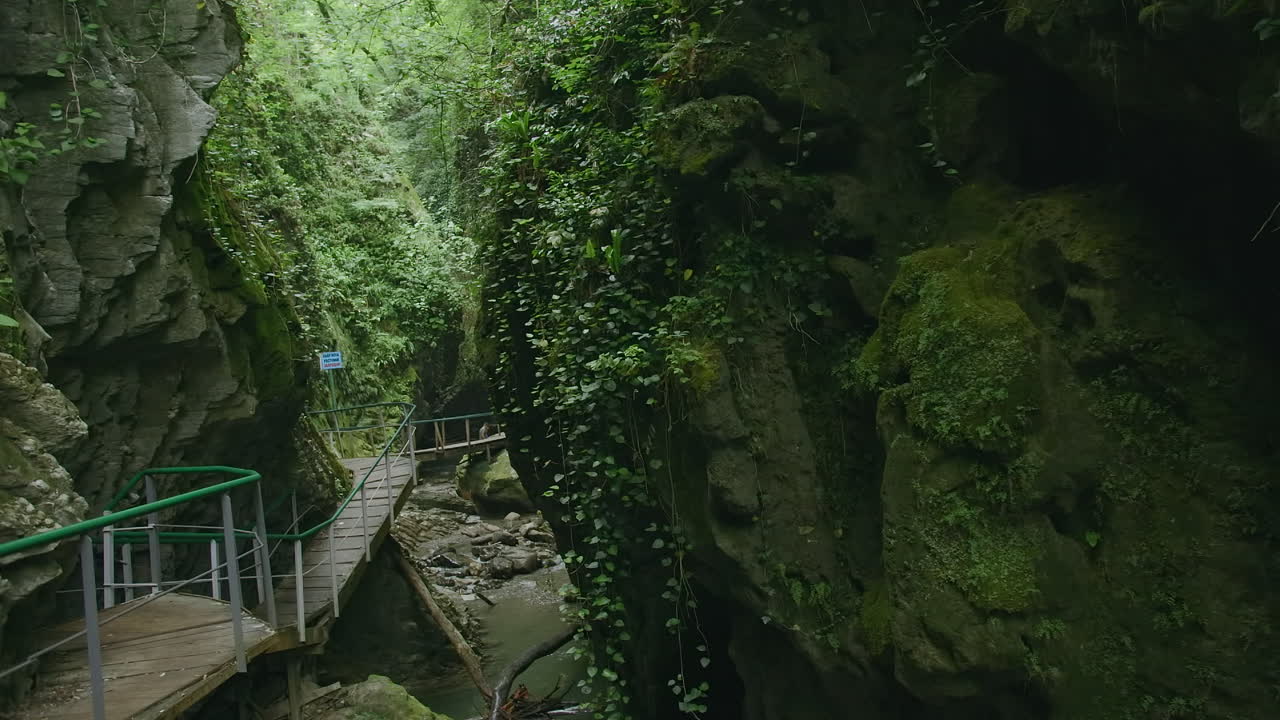 скрытая тропа каньона через пышный лес