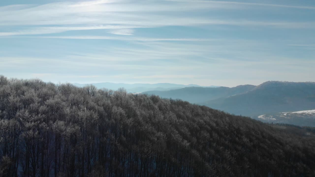 los drones se elevan sobre los árboles con ramas congeladas en el soleado día de invierno-2