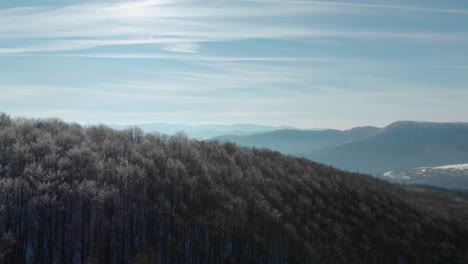 Drone-rise-over-trees-with-frozen-branches-in-sunny-winter-day-2