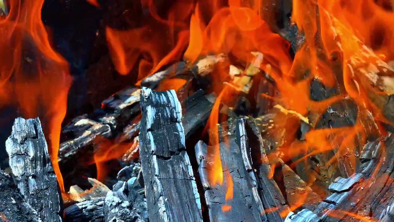 Kayu bakar yang menyala dengan api oranye terang dari dekat. Tekstur arang kayu di bawah api kuning panas yang aktif di dalam panggangan.
