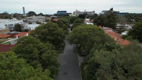 Drone-transition-from-above-to-below-canopy-in-urban-setting