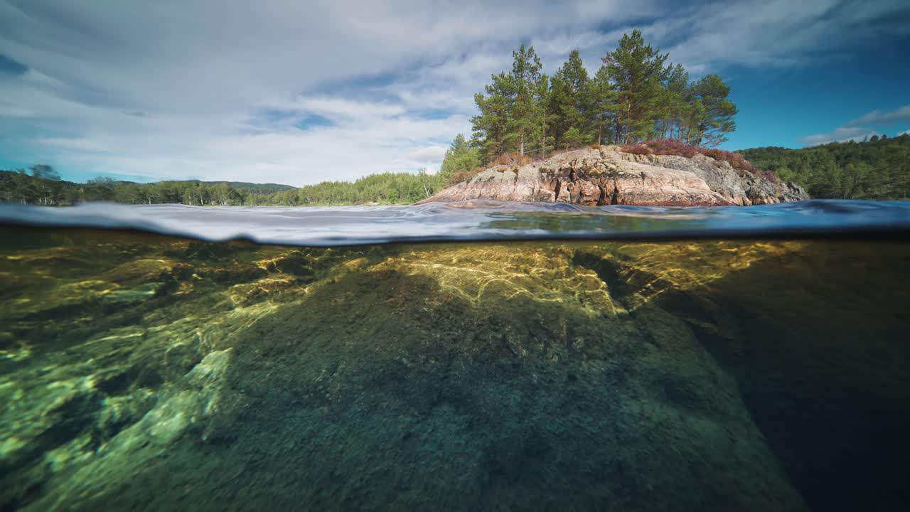 Pine trees stand on the small rocky island