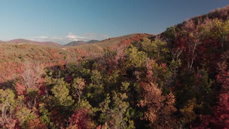 Fast-aerial-flyover-above-fall-trees-near-Salt-Lake-City,-Utah