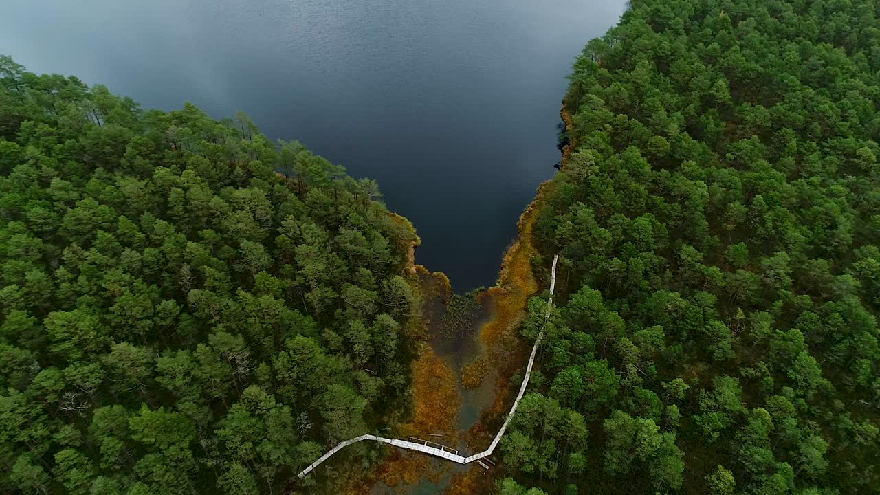 coloridos bosques estacionales y lago pantanoso en imágenes aéreas de otoño