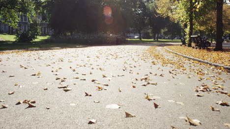 a beautiful autumn day