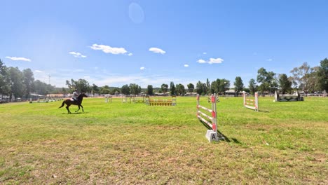 horse running on a grassy racetrack