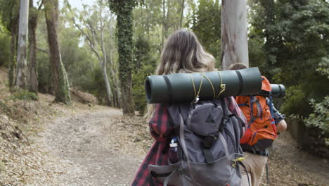 couple of backpackers walking on forest footpath