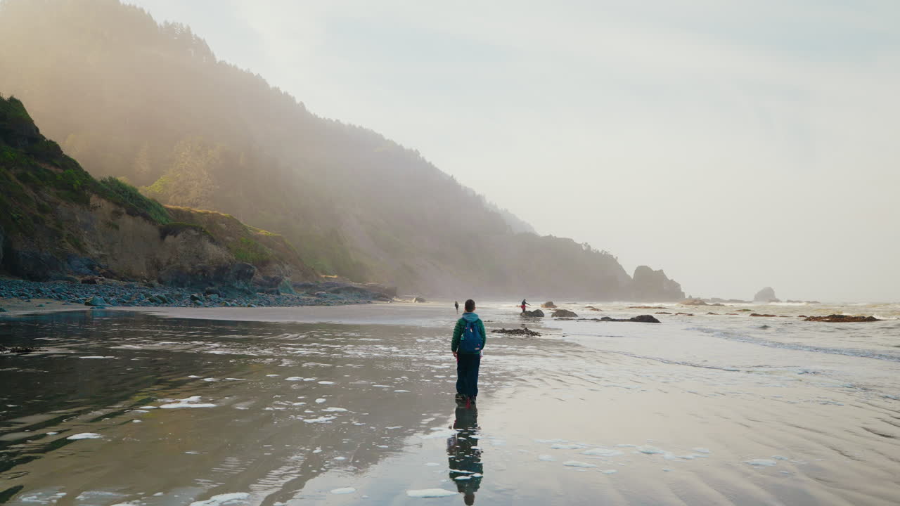 People walking on a misty, reflective beach along a forested coast
