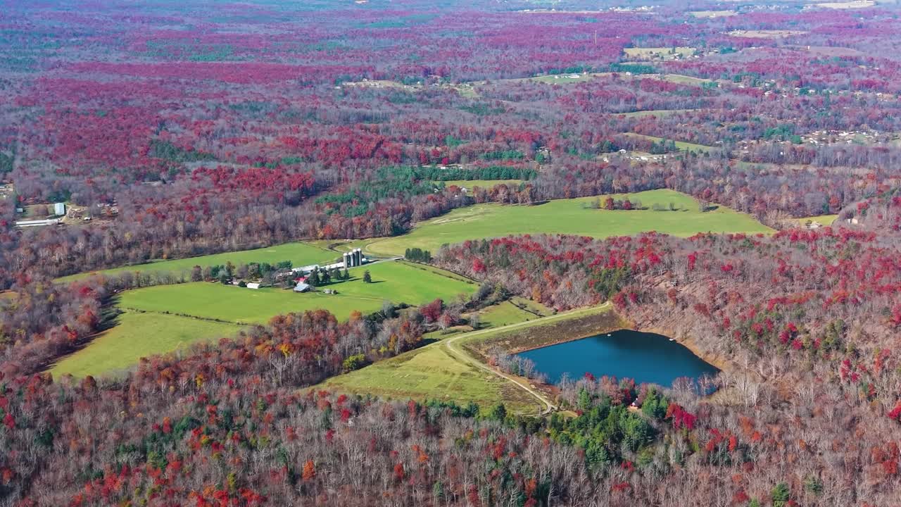 Filmisk luftdroneoptagelse af en malerisk gård, grønne græsgange og en fredfyldt sø omgivet af en levende efterårsskov nær North Carolina.