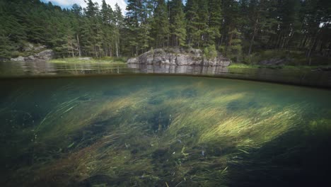 An-over-under-shot-of-the-shallow-river