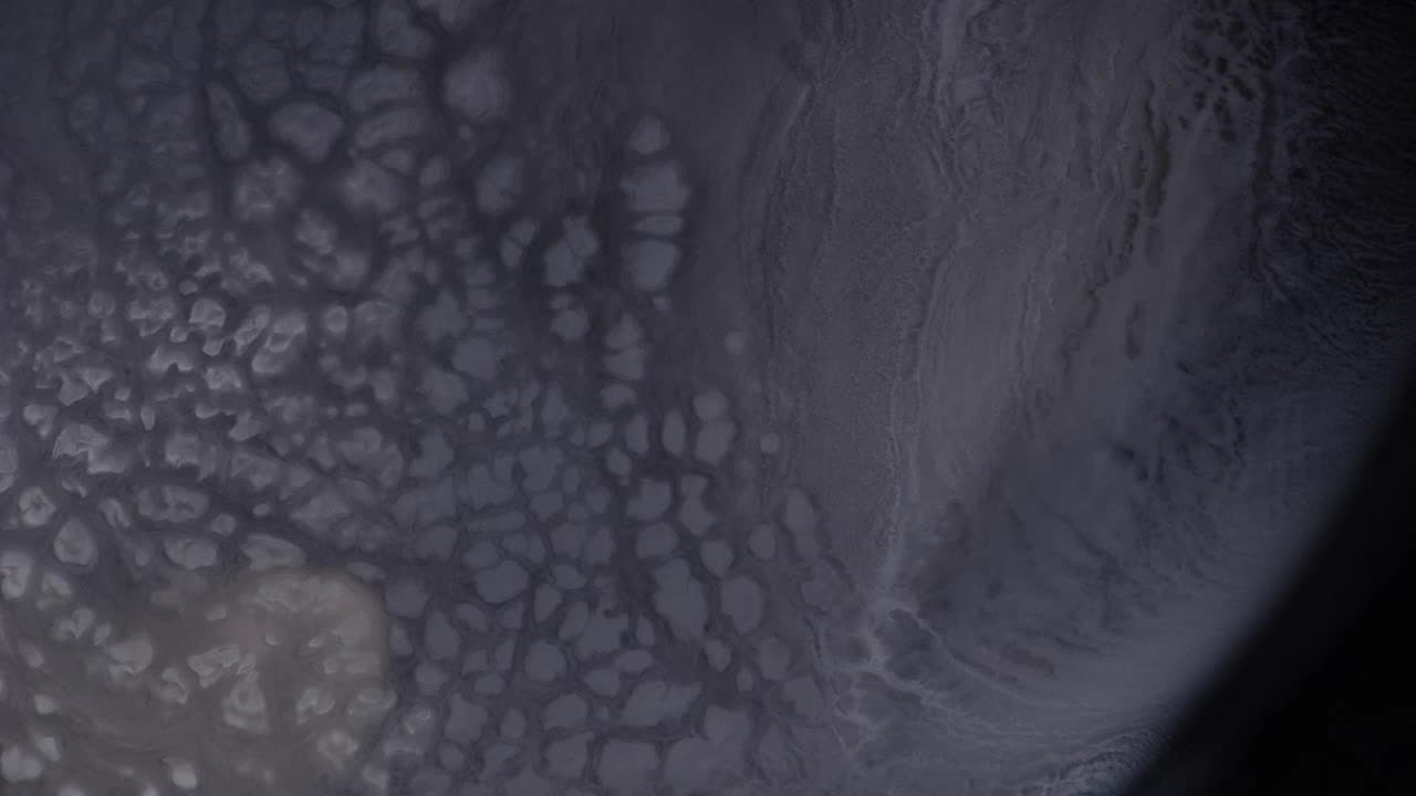 NOV_1981B  The chameleon's skin matched the ice floes of the Arctic, no mean feet for a guy who has never been there -  For more, search  "AbstractVideoClip" using the quotation marks