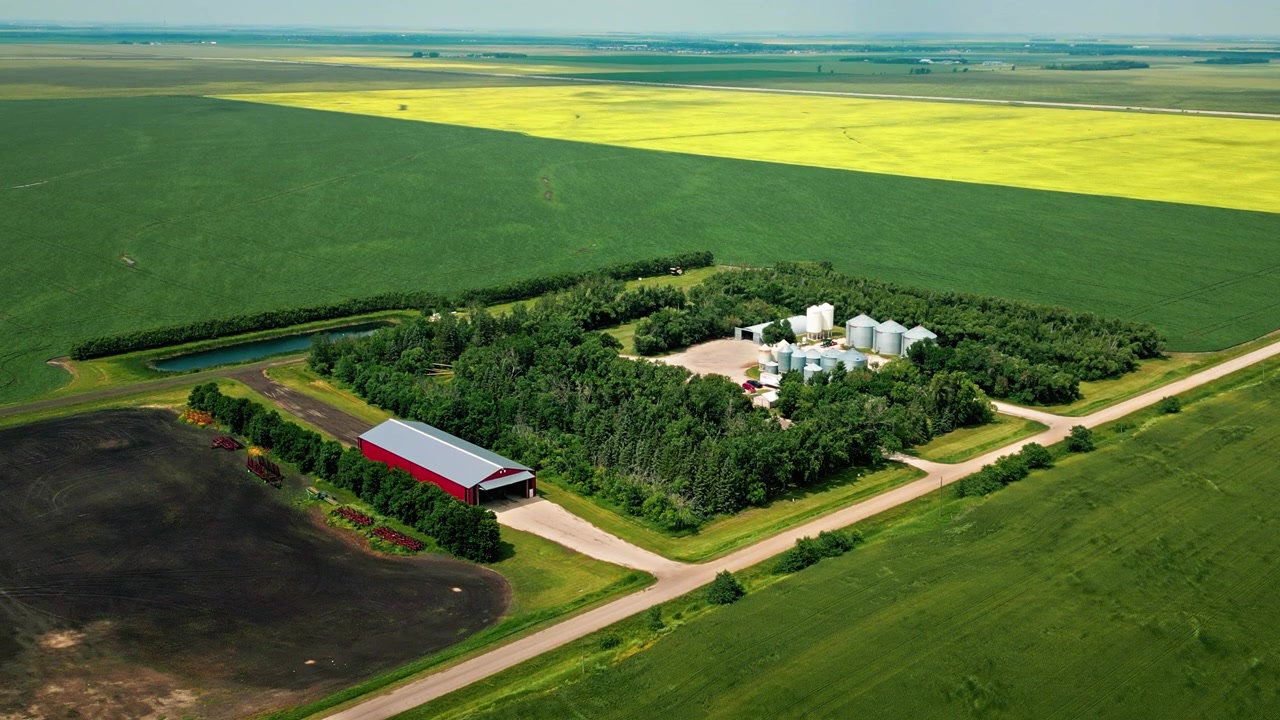 Static aerial drone shot of a prairie farmstead with silos and farm buildings surrounded by canola and wheat fields on a summer day