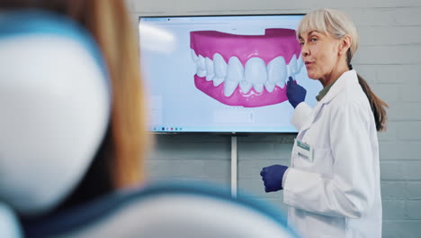 dentist explaining 3d dental model to patient