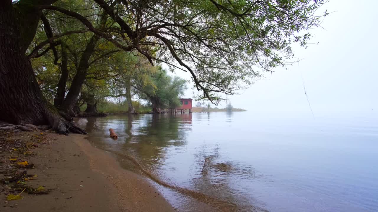 Misty Morning at the Lakeside Cabin