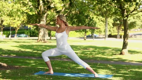 Schöne-Blonde-Frau,-Die-Yoga-Im-Park-Macht