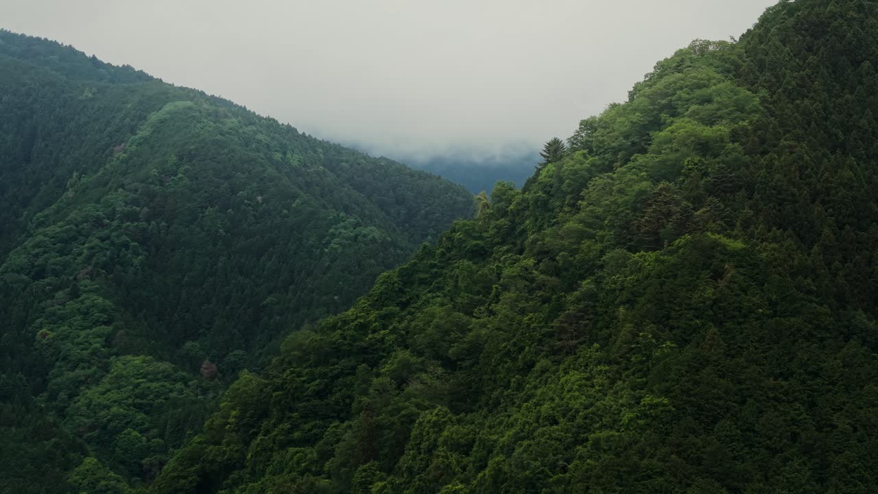 Lush Green Mountains and Forest Landscape