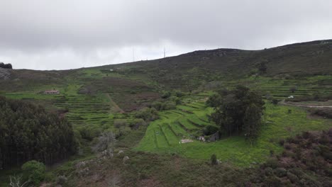 Encantadoras-Casas-Rústicas-En-Medio-De-La-Naturaleza-Verde-Serenidad