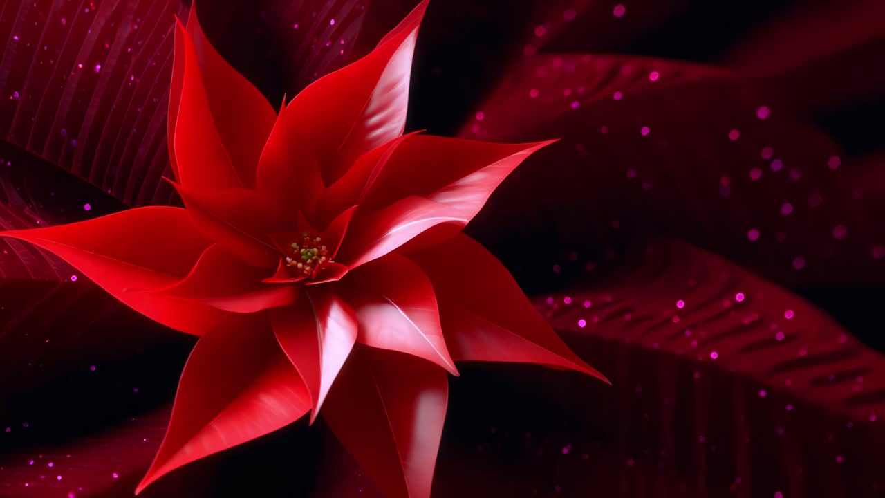 Splendida immagine ravvicinata di un vivace fiore rosso con petali eleganti, su uno sfondo rosa intenso, che ne mette in risalto la bellezza squisita e i dettagli intricati sia nella luce che nell'ombra