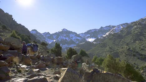 embalar mulas nas montanhas