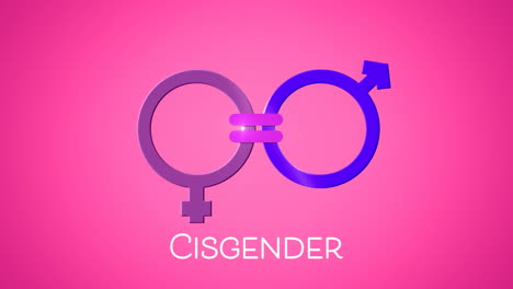 animation of text cisgender and female and male gender symbol linked by equals sign, on pink