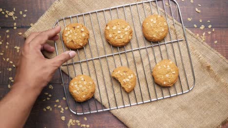 hand picking a bite of oatmeal cookies from cooling rack