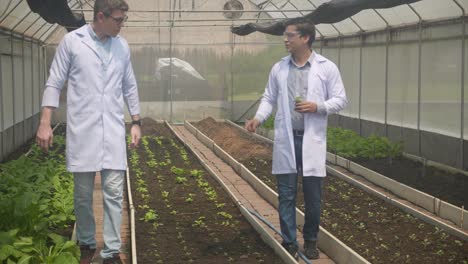 young man talking for research vegetable of agriculture with expertise in the farm, scientist examining genetic of botany and conversation in laboratory cultivation, plant and environment concept.