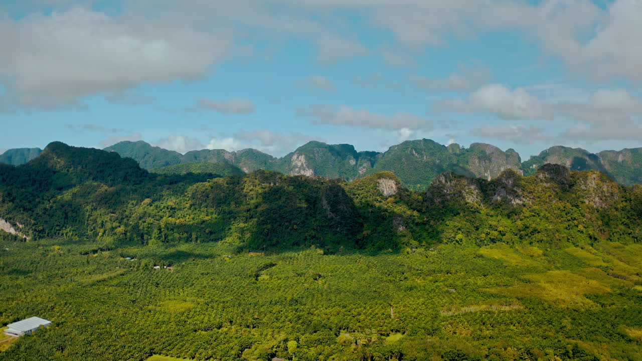 울창한 숲이 있는 산악 지형