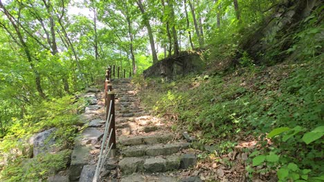 camera ascends a rustic stone staircase bordered by a rope handrail, winding upward through dense green trees and dappled sunlight in the tranquil forest of maninsan ecological park