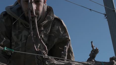 primer plano de un trabajador podando las vides en un viñedo.