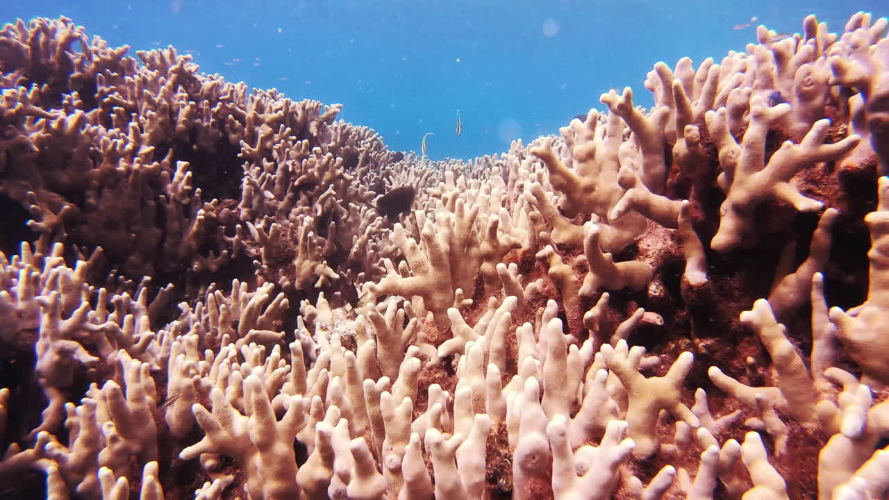 There&rsquo;s a lot to learn about sea life