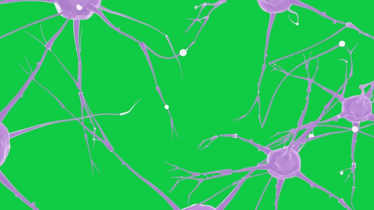 Opening frame starting purple somas, white spheres moving inward, showing signal flow, transparent