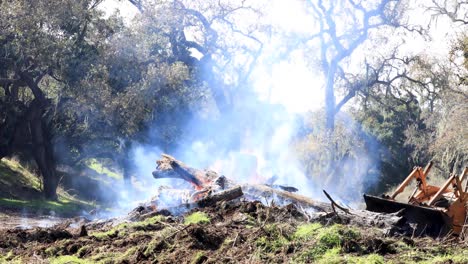 Tractor-Pushing-Dead-Logs-in-Control-Burn-Pile