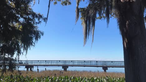 serene lakeside dock with spanish moss