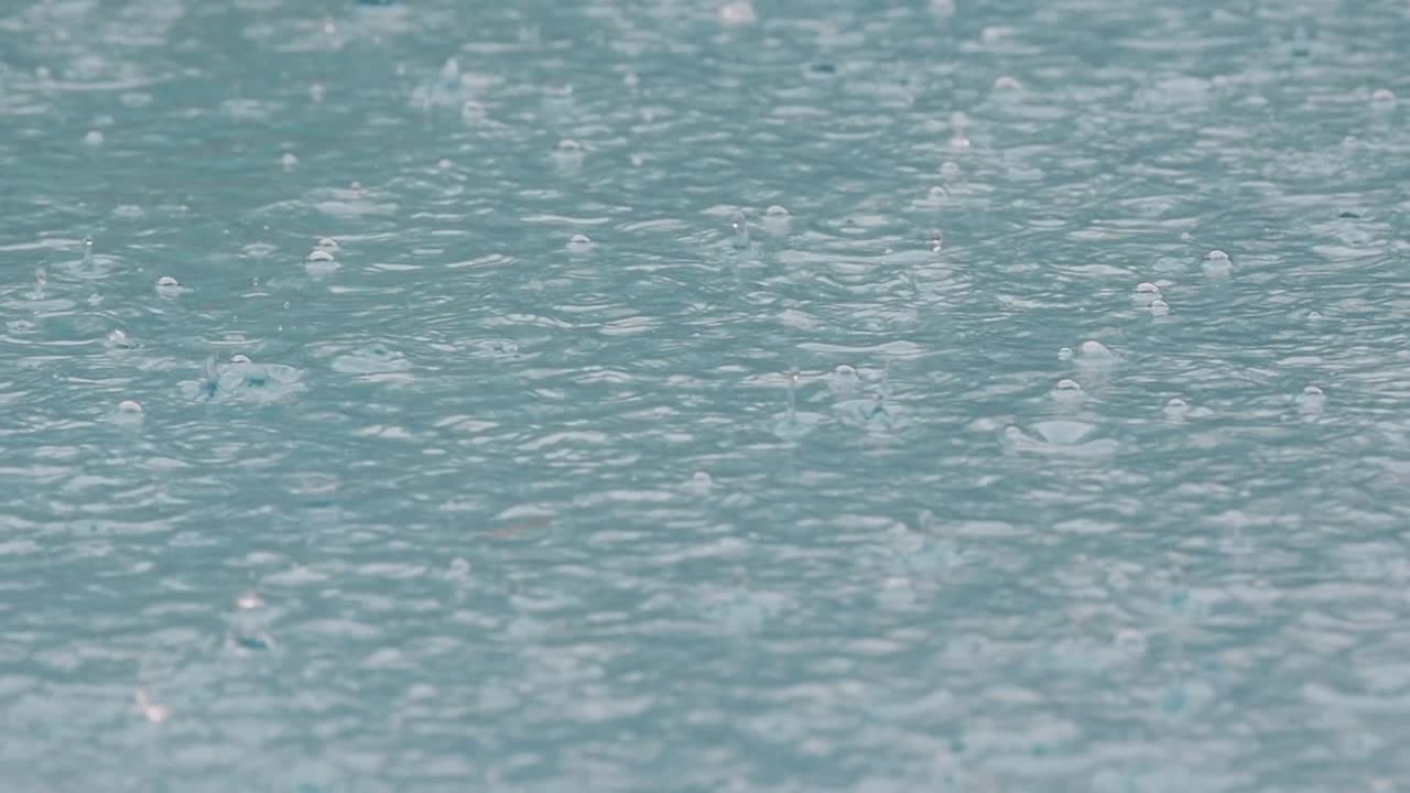 수영장에서 비가 내립니다.