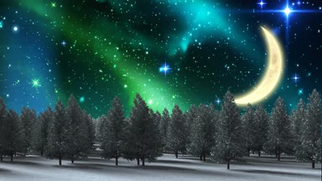 Animation-of-winter-landscape-with-trees,-moon-and-sky-at-christmas
