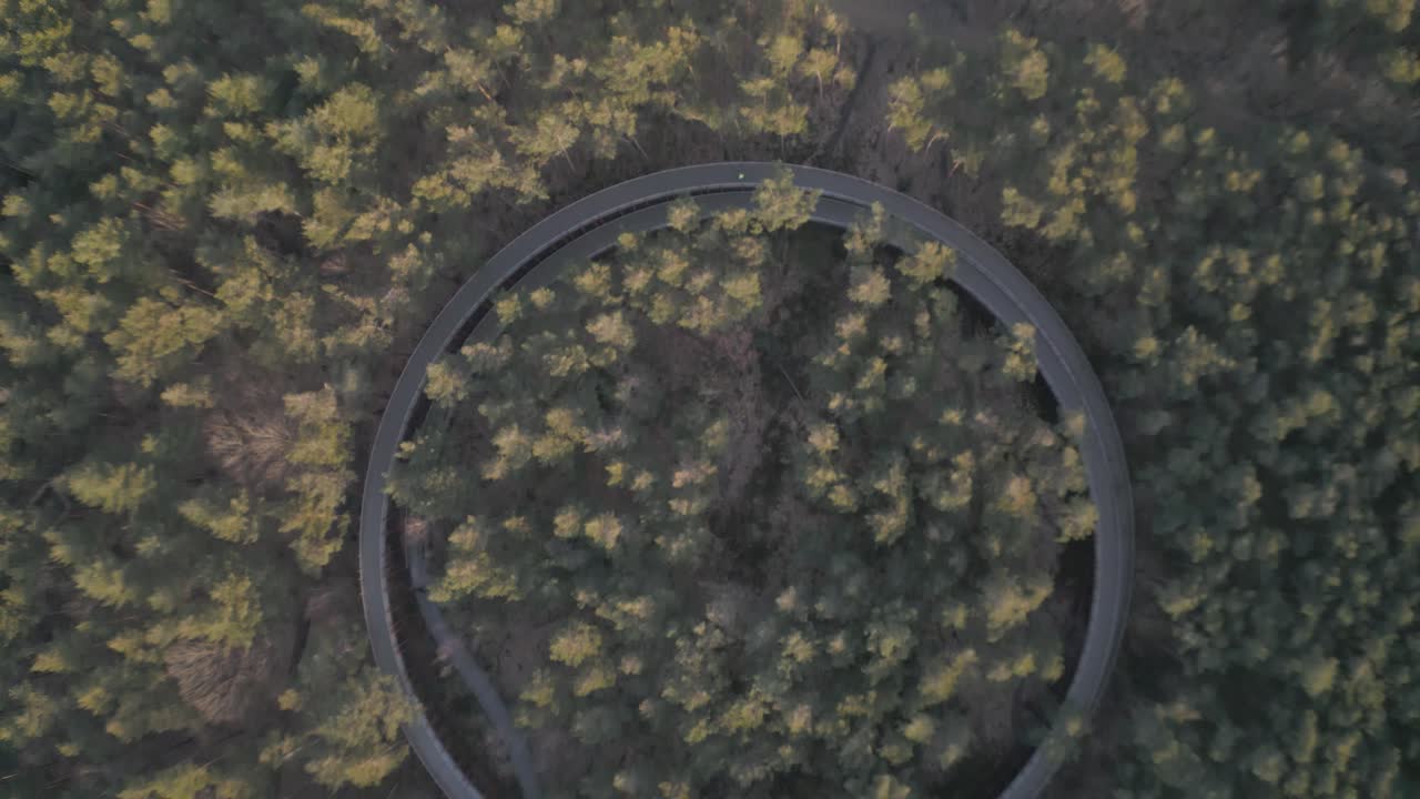 круглая пешеходная дорожка, достигающая вершин деревьев в лесистой местности, воздушный вид сверху вниз