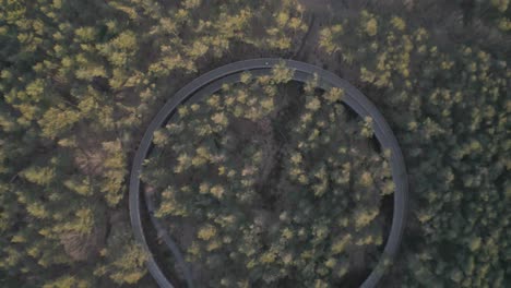 pista de senderismo de forma redonda que alcanza las cimas de los árboles en la zona boscosa, vista aérea de arriba hacia abajo
